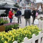 Tulpenpluktuin in 2025