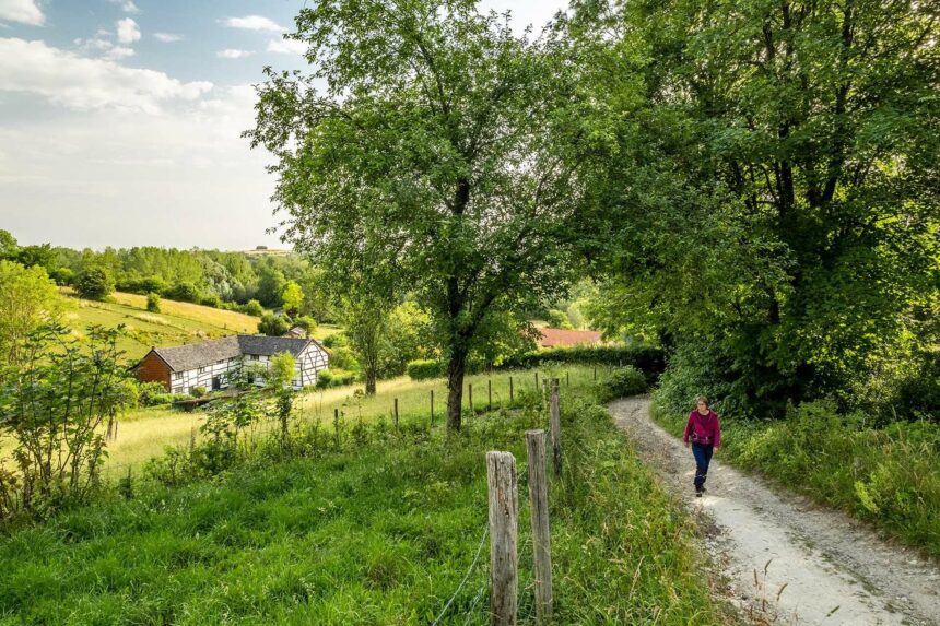 Heerlijk wandelen door het Limburgse landschap. Foto: Bob Luijks