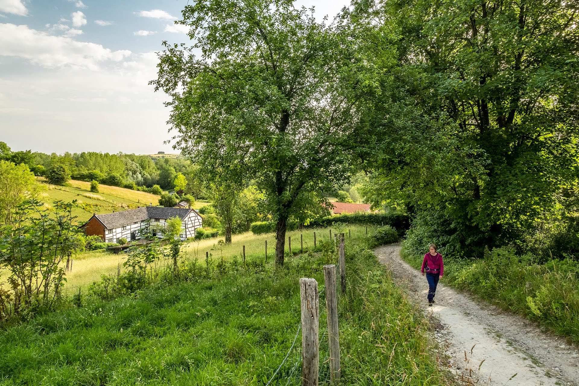 Heerlijk wandelen door het Limburgse landschap. Foto: Bob Luijks