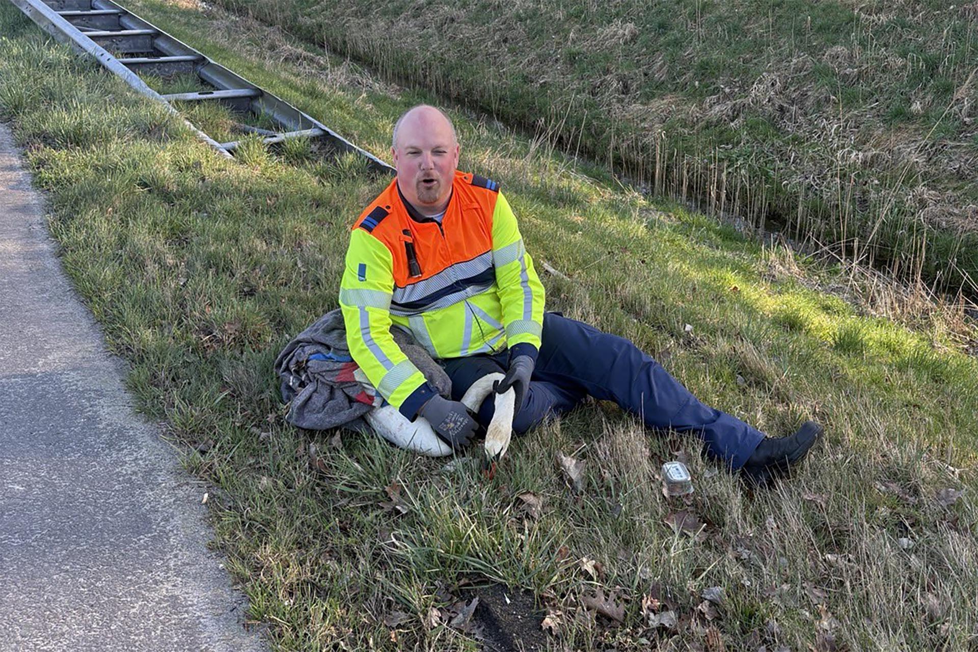 Gewonde zwaan gered - Foto via X @WIS_Marcel_