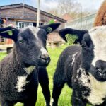 Foto via Herenboeren Land van Weert