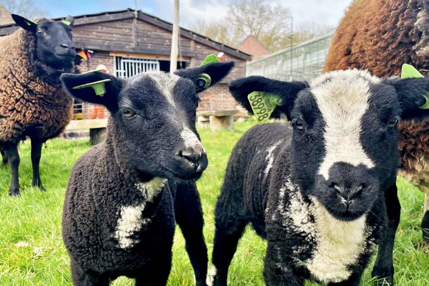 Foto via Herenboeren Land van Weert