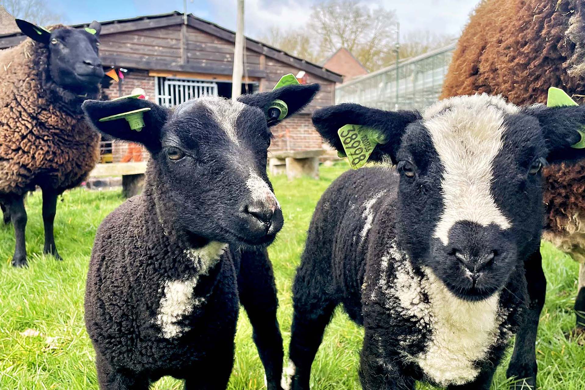 Foto via Herenboeren Land van Weert