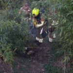 Brandweer dooft brandje in Luuëkerpârk