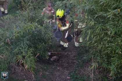 Brandweer dooft brandje in Luuëkerpârk