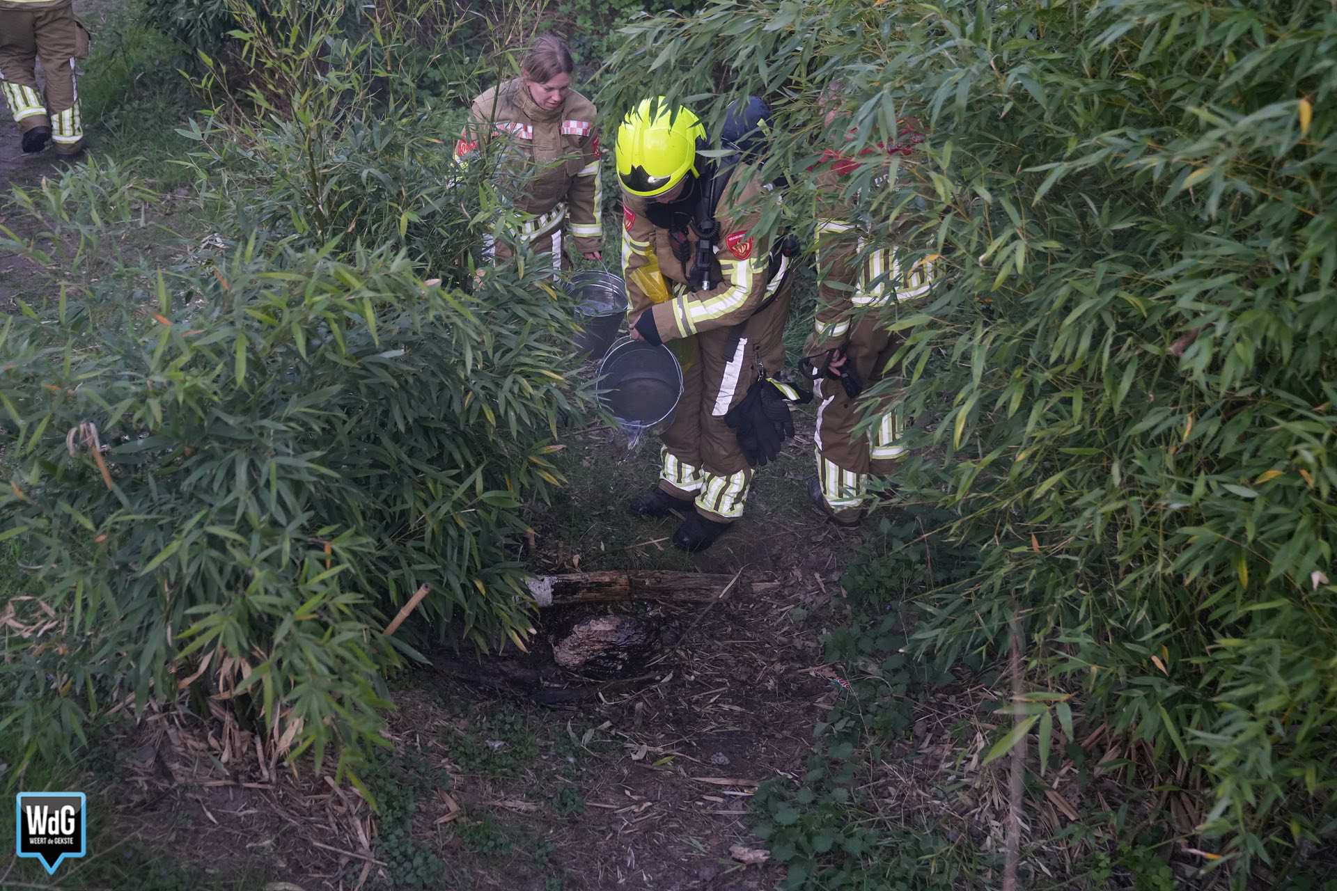 Brandweer dooft brandje in Luuëkerpârk