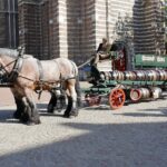 Foto van Theo van de Winkel