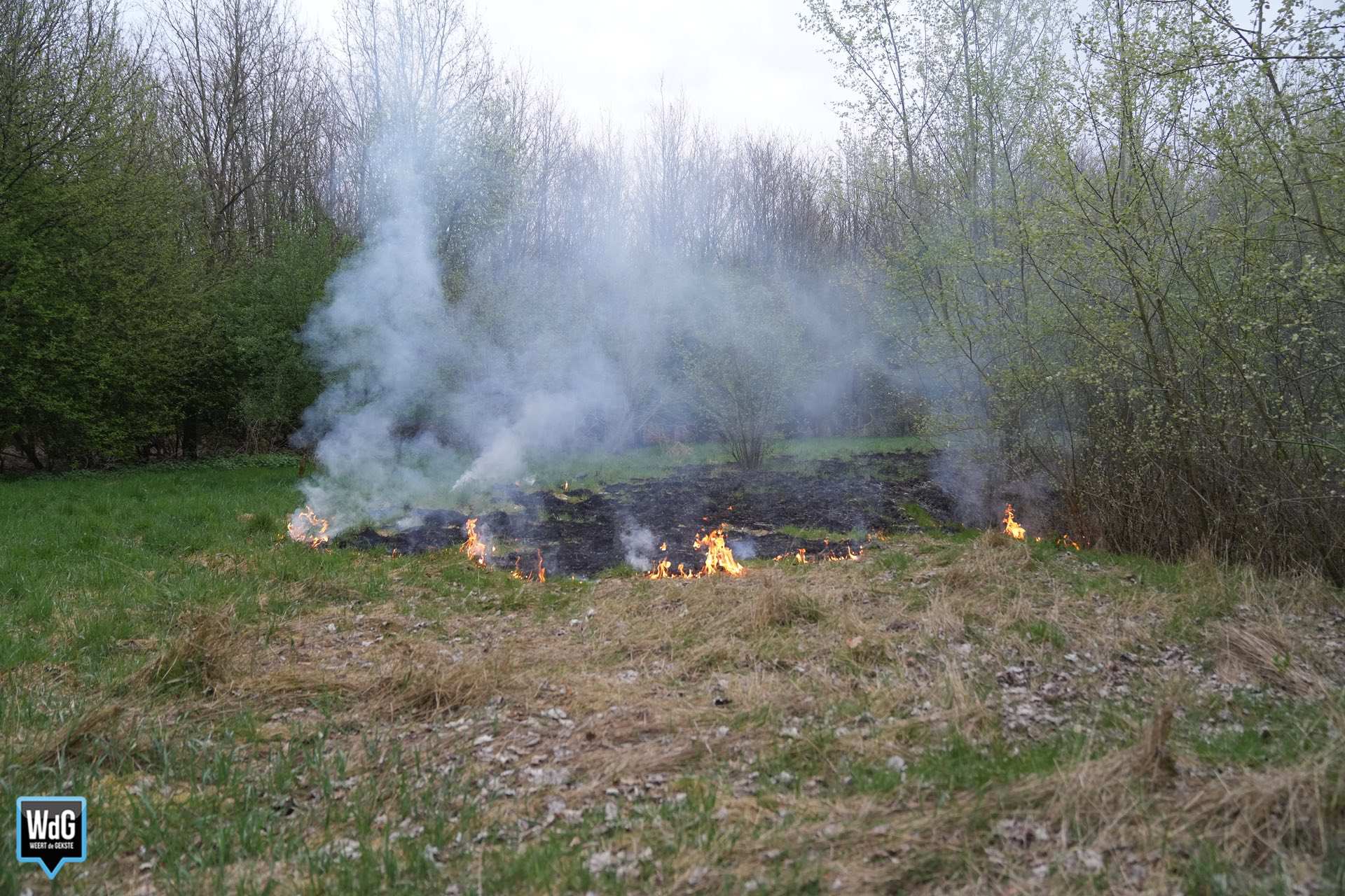 Brandweer dooft natuurbrand aan Gebleektesteeg