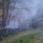 Natuurbrand langs Randweg-Oost in Budel snel geblust