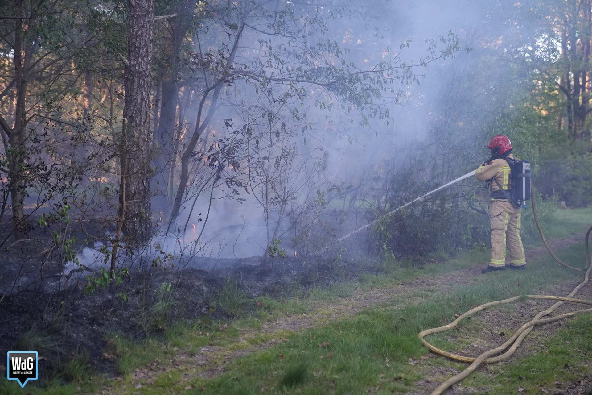 Natuurbrand langs Randweg-Oost in Budel snel geblust