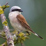 Foto via Depositfotos