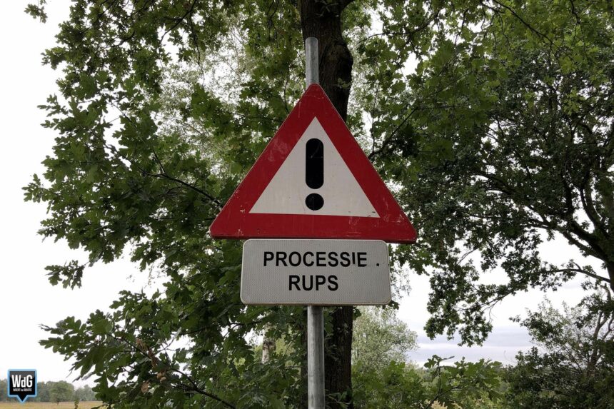 Foto uit archief
