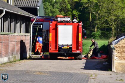 Kalf belandt in put bij melkveebedrijf in Nederweert-Eind en wordt gered
