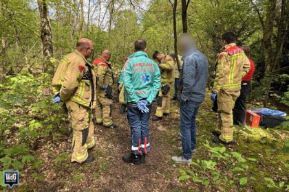 Man gewond na val in bos Budel-Dorplein: 112NL-app biedt uitkomst