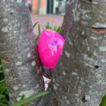 Meer dan 150 paaseieren verstopt in binnenstad van Weert