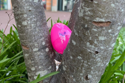 Meer dan 150 paaseieren verstopt in binnenstad van Weert