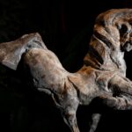 Foto van Johan Horst