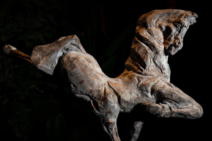 Foto van Johan Horst