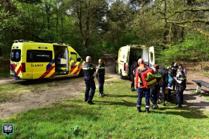 Vrouw gewond na val van paard in bosgebied Meijel