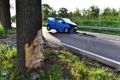 Automobilist gewond na botsing tegen boom op N275 bij Ospel