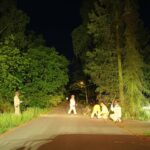 Omgevallen en instabiele bomen verwijderd in Budel-Dorplein