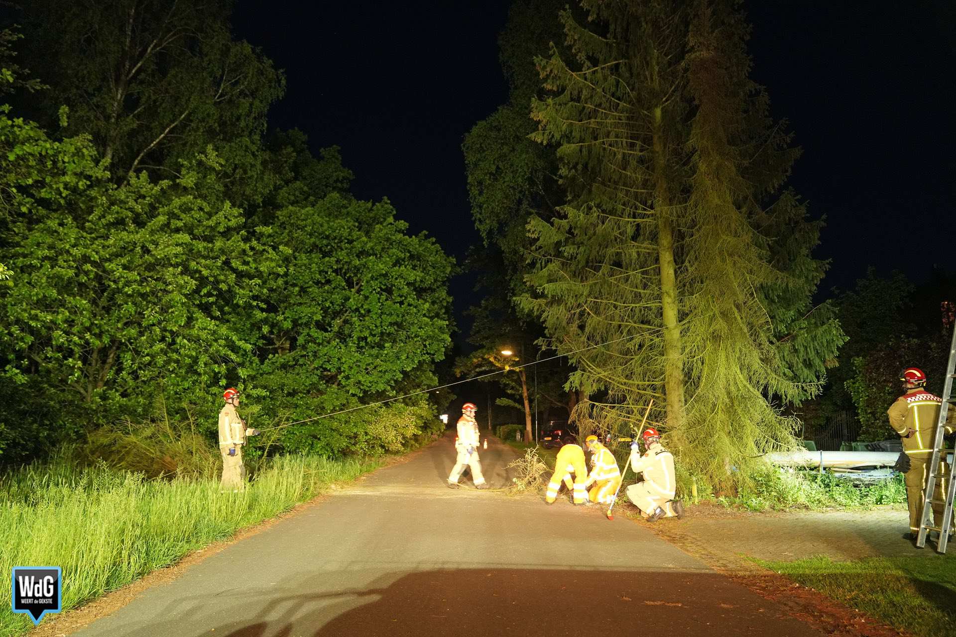 Omgevallen en instabiele bomen verwijderd in Budel-Dorplein