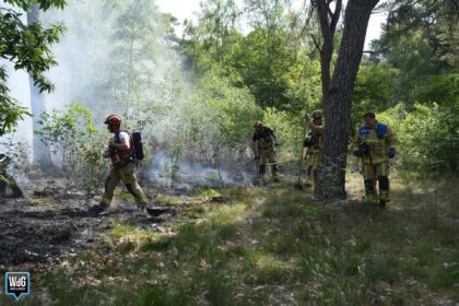 Natuurbrand op militair oefenterrein Weerterheide