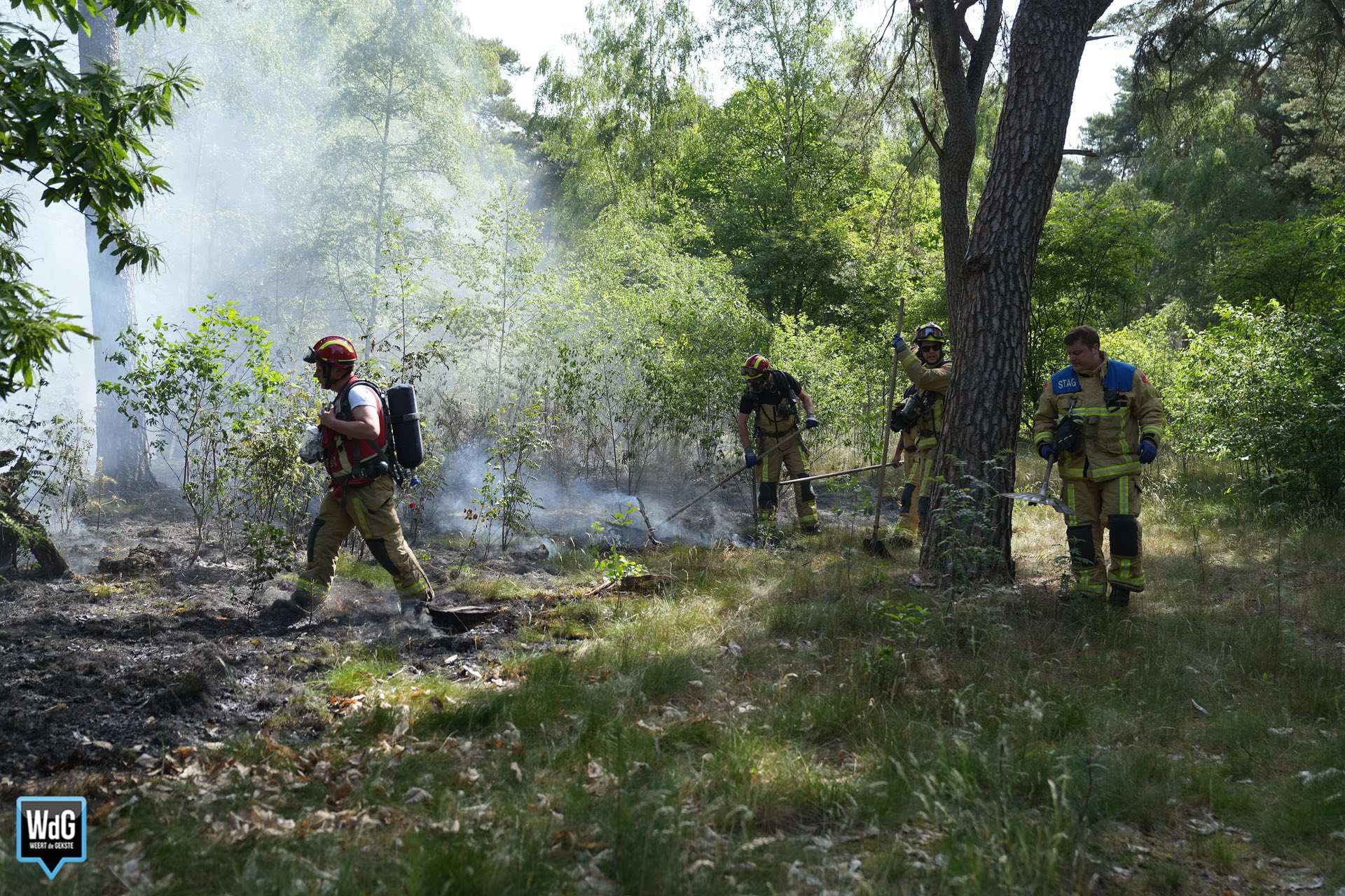 Natuurbrand op militair oefenterrein Weerterheide