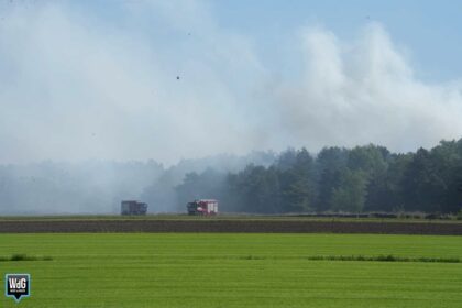Brandweer nog druk doende met natuurbrand tussen Weert en Budel