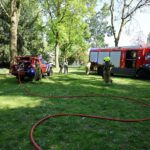 Brandje in Kasteelpark snel onder controle