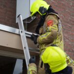 Brandweer vindt acht dode vogels en redt zwaluw