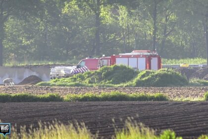 Koe vast in mestput bij agrarisch bedrijf in Ospel