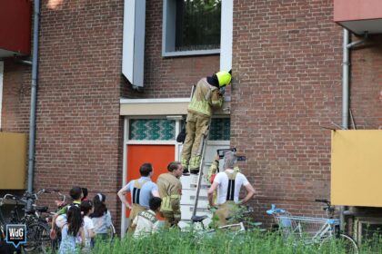 Brandweer bevrijdt kraai uit gevelschacht.
