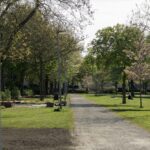 Molenakkerpark