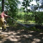 Brandweer dooft natuurbrandje in Soerendonk