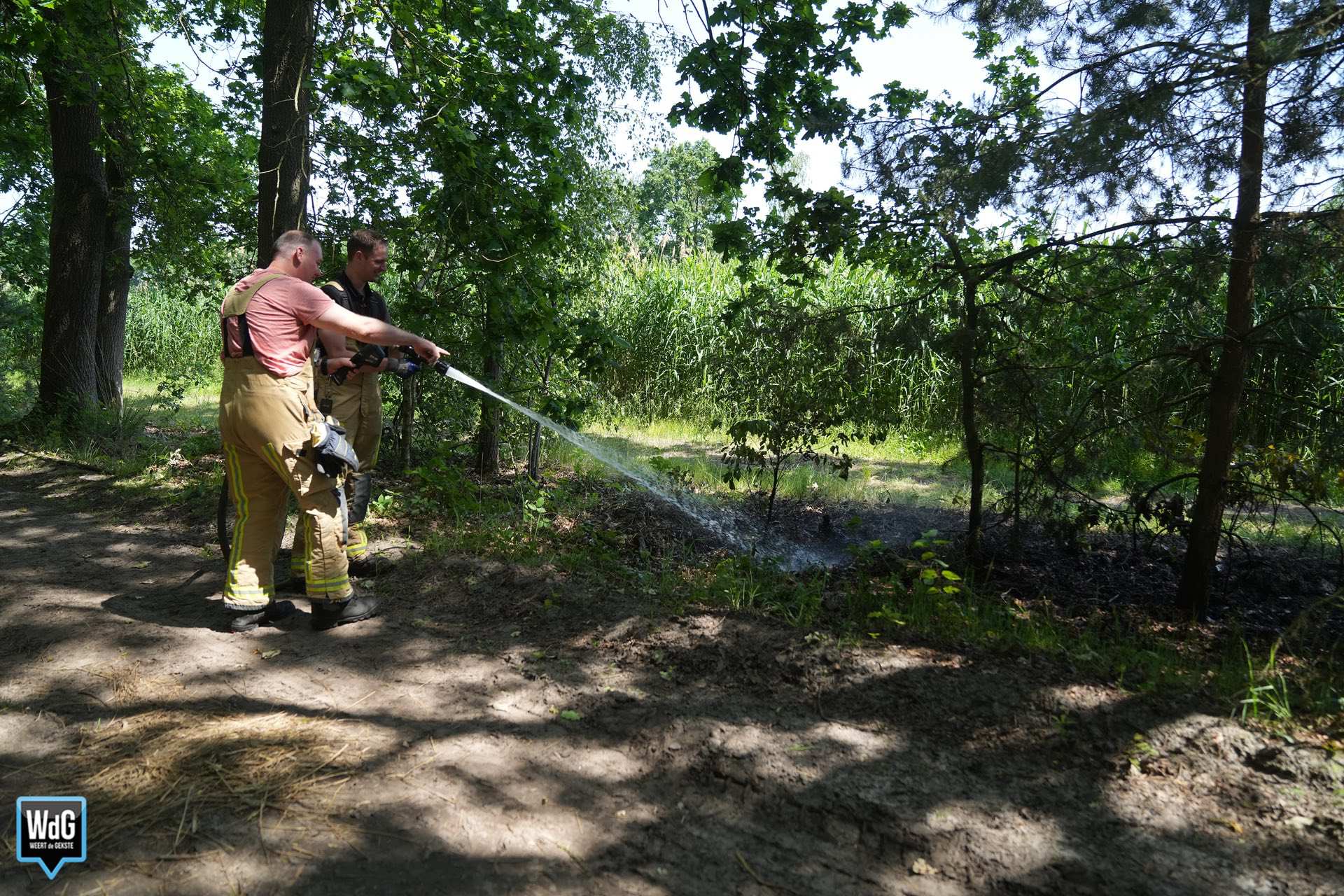 Brandweer dooft natuurbrandje in Soerendonk