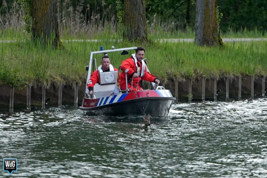 Brandweer haalt ree uit Zuid-Willemsvaart in Weert