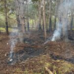 Koninklijke Marechaussee monitort smeulende grond op Weerterheide