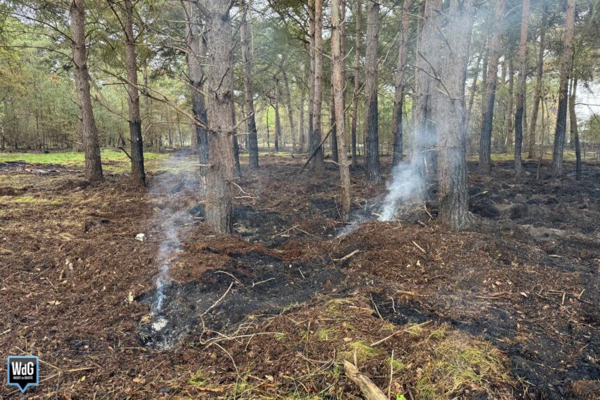 Koninklijke Marechaussee monitort smeulende grond op Weerterheide