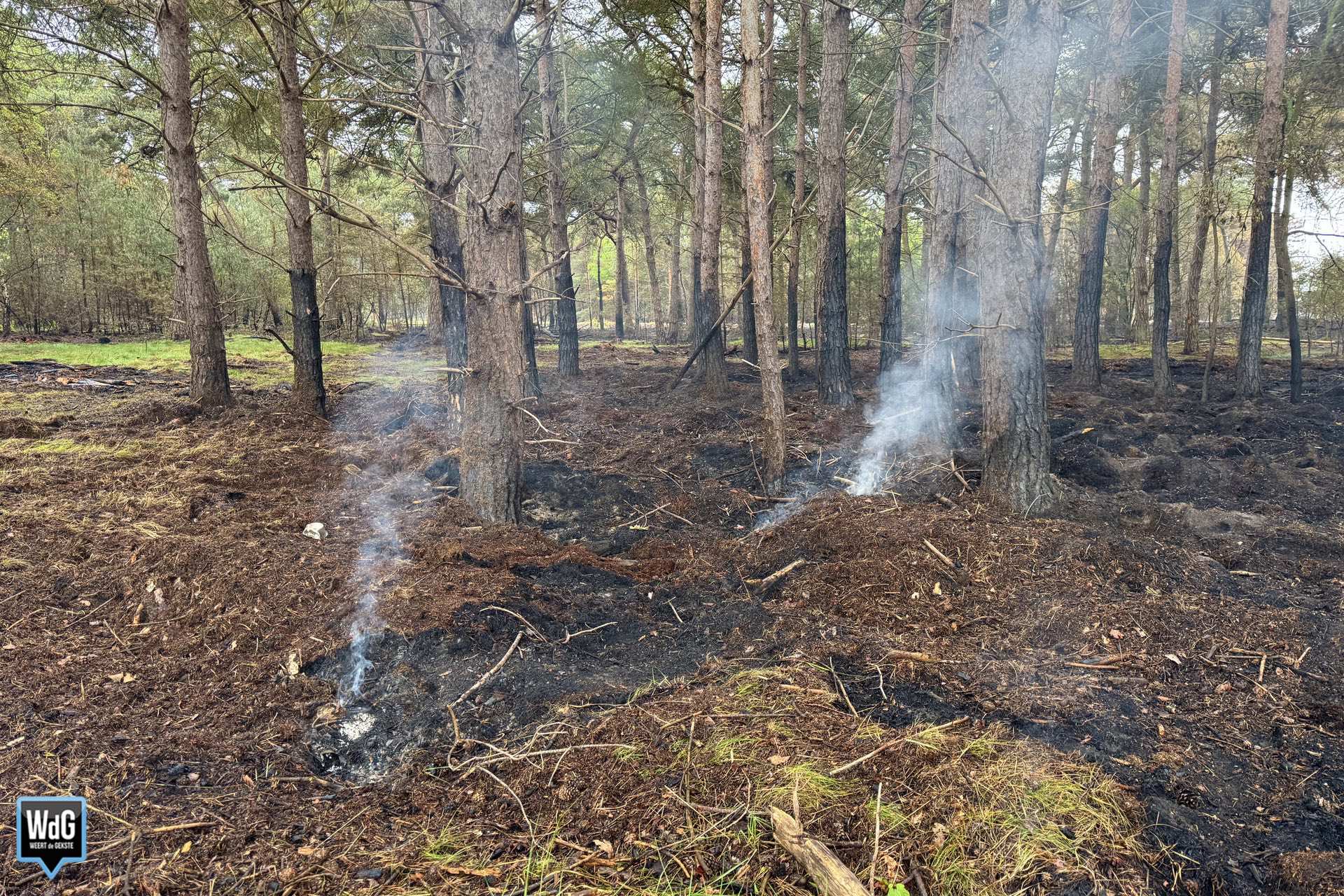 Koninklijke Marechaussee monitort smeulende grond op Weerterheide