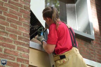 Opnieuw vogel gered uit schacht in wijk Moesel