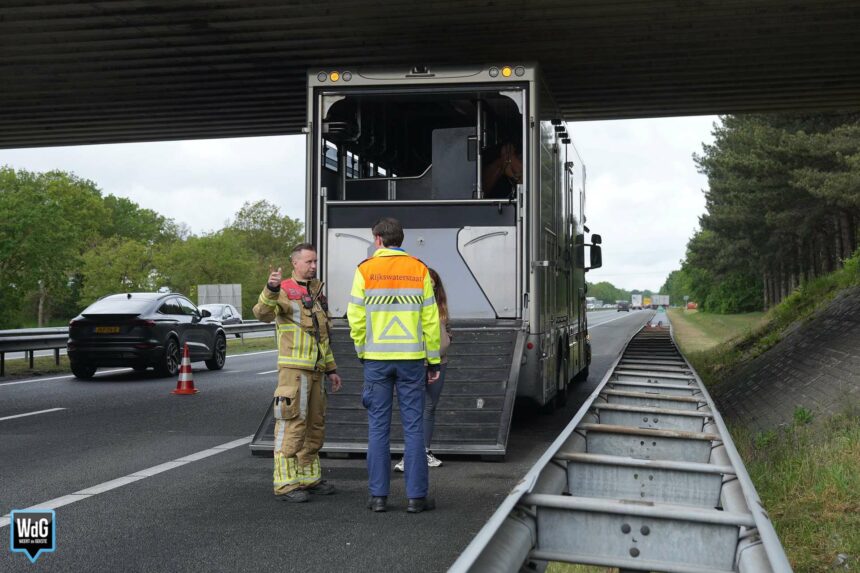 Rookontwikkeling bij vrachtwagen met paarden op A2 bij Budel