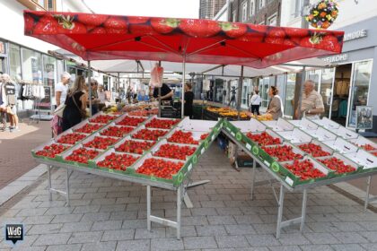 Weekmarkt in beeld