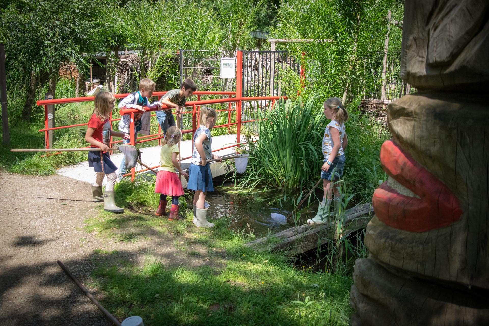 Kinderen zoeken naar waterdiertjes tijdens de Slootjesdagen van IVN Weert e.o.