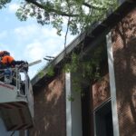Afgebroken tak leunt tegen flat aan Dillenburg