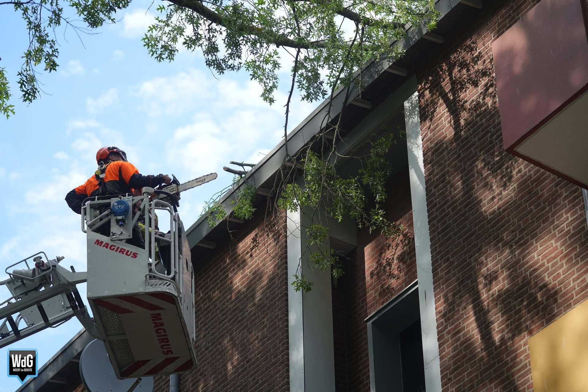 Afgebroken tak leunt tegen flat aan Dillenburg