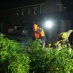 Brandweer verwijdert afgebroken tak na onweersbuien