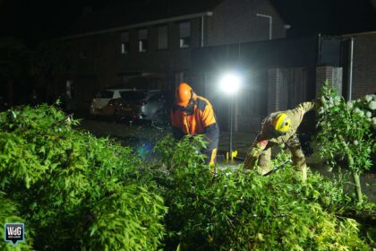 Brandweer verwijdert afgebroken tak na onweersbuien
