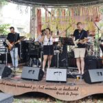 Laatste editie Appels met Peren Jamfestival in zomerse sfeer