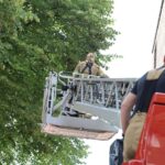 Brandweer zoekt naar kat in boom op de Herenstraat